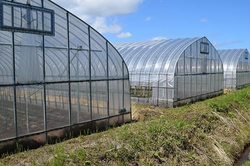 エコライフ石川の木質バイオマスボイラー活用事例3