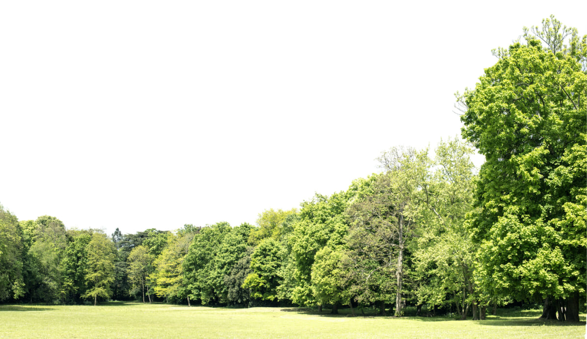 エネルギーの自給自足